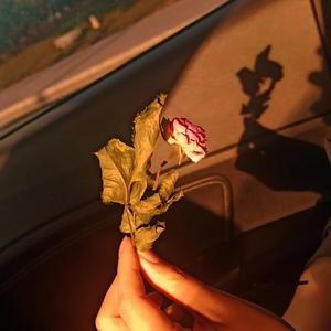 COSMOS（Prod.Gr33nart Beats）