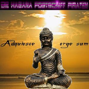 Hain der Harmonie (Meditatio Version)