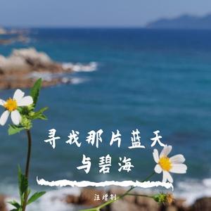 孤独的人在流浪 伴奏