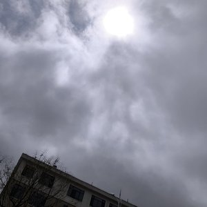 伤口是故事长出的年轮