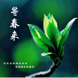 灯火里的中国（翻自 群星）