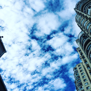 Leona（莉欧娜）