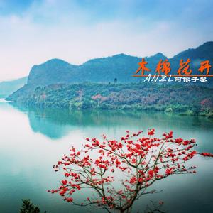 《吉贝花开》阿侬子黎