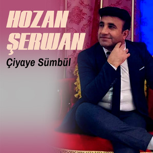 Çiyaye Sümbül