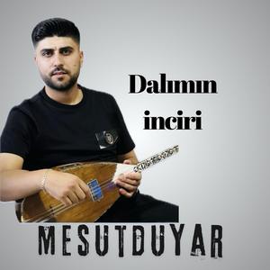 Dalımın İnciri