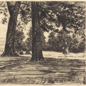 -自然公园（Lucius Red / 胡崴 remix）