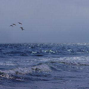 大海