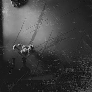 Parıldayan Hayaller