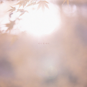 해(害)가 될 테니