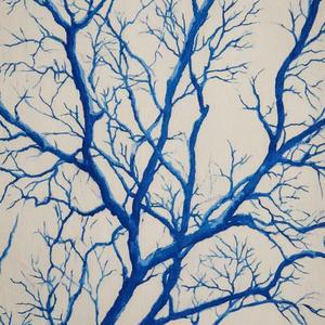 我怀念的+相信爱还是相信你（热播版）