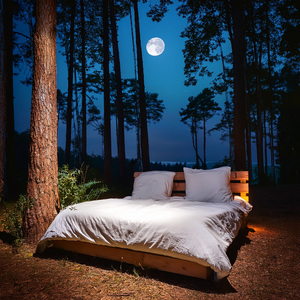 The Final Glow Beneath A Violet Horizon