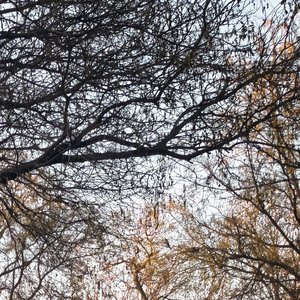 牌桌主宰(弟弟的歌)