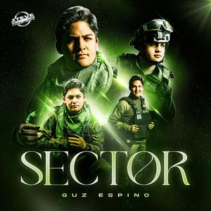 SECTOR