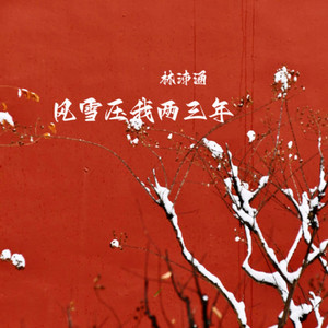 风雪压我两三年 (DJ版)