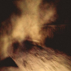 The Loop of Rott