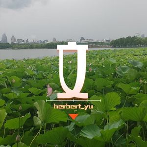我不想理你