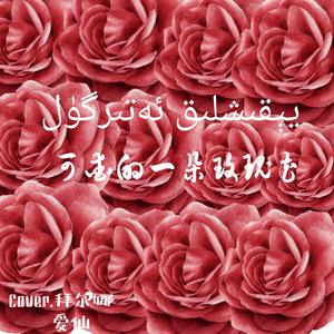 可爱的一朵玫瑰花（锦医版）