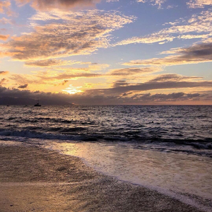 群星-熊出没 DJ咚鼓版（泡小胡YJL remix）