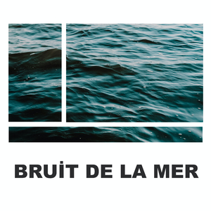 Bruits De La Mer