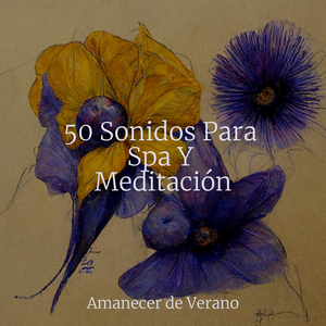 Paisaje Sonoro del Santuario Iluminado por el Sol