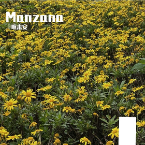 Manzana