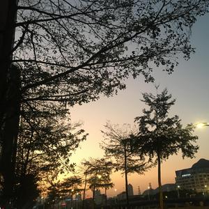 我只喜欢你的人设/玫瑰星云