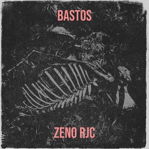 Bastos
