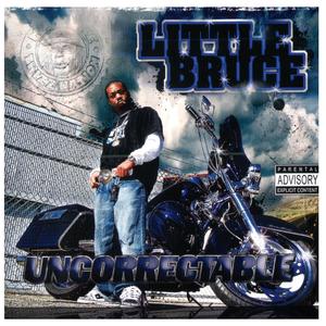 Kill Bill (feat. Magnolia Chop)