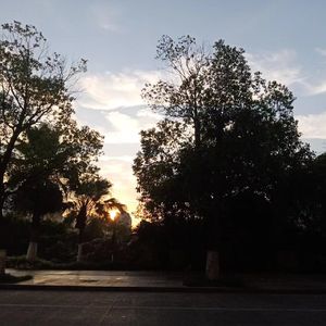 一分钟恋人（悄悄版）