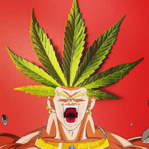 Roller Coaster (feat. empc)