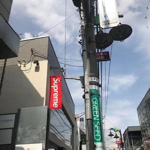 踏山河蓝朋友版（翻自 是）