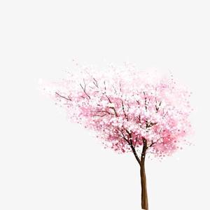 夜已如歌（抖音）(绿色频道)