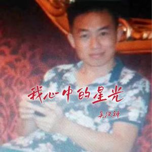 我心中的星光