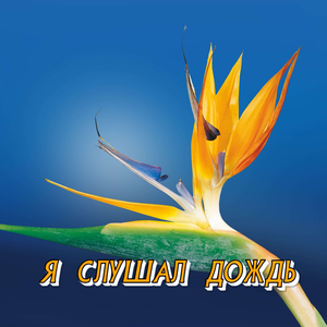 Я СЛУШАЛ ДОЖДЬ