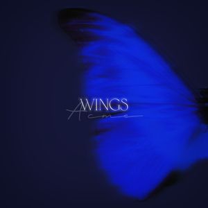 Wings