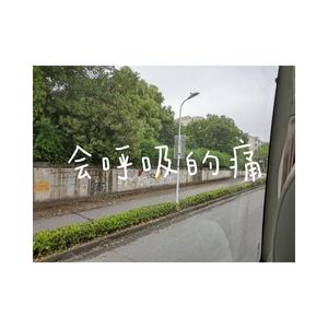 会呼吸的痛