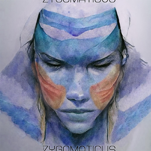 Zygomaticus