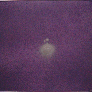 We Are Still Thinking About The Title!