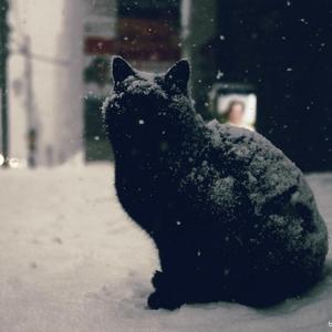 杨宗纬-国王于乞丐（赵煜 remix）