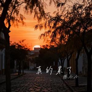 真的累了 (Cover 王佳音)