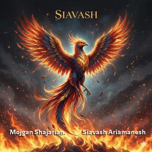 Siavash