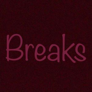 Breaks(Prod.DRP project)
