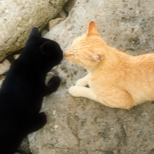 たまには都合いいように