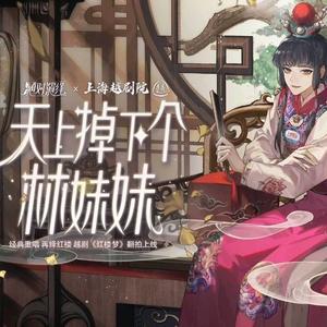 天上掉下个林妹妹|“似一朵轻云刚出岫” 翻唱 乘之x表情菌