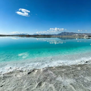 《辩护辞之外》