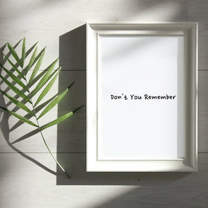 Don't You Remember