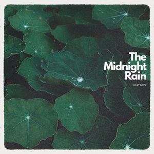 The Midnight Rain