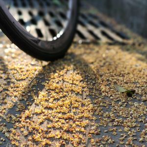 《乌兰巴托的夜》