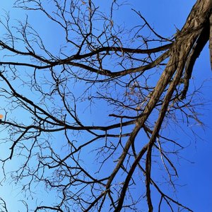 孟菲斯旋律下的逐海少年