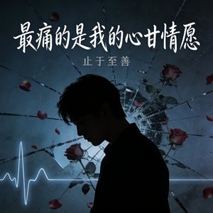 最痛的是我的心甘情愿